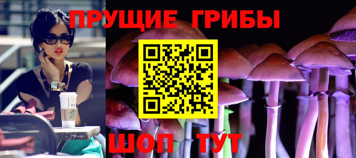 Славянск-на-Кубани  Галлюциногенные грибы MAGIC MUSHROOMS  Вход с VPN  Псилоцибиновые грибы мицелий 
